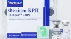 Feligen za mačke - cjepivo ne samo za prevenciju kalicina